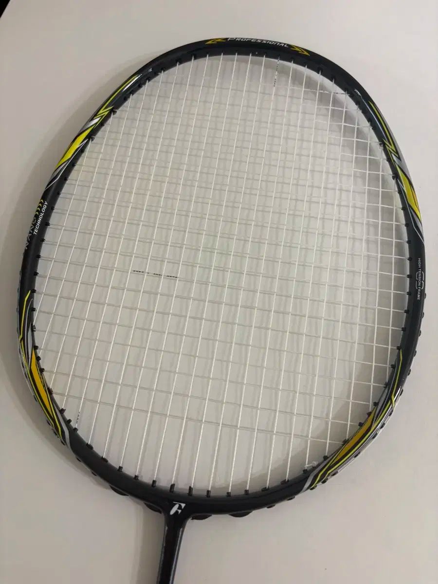  fleet バドミントン ラケット チャンピオン 30 その他 バドミントン