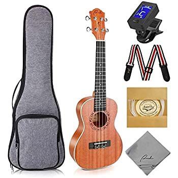 コンサート ウクレレ Ranch Concert Ukulele 23 インチ サイズ 天然ウッド製 Hawaii 入門セット 専門の ハワイ ミニ ギター 楽器