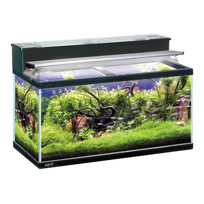 GEX AQUARIUM