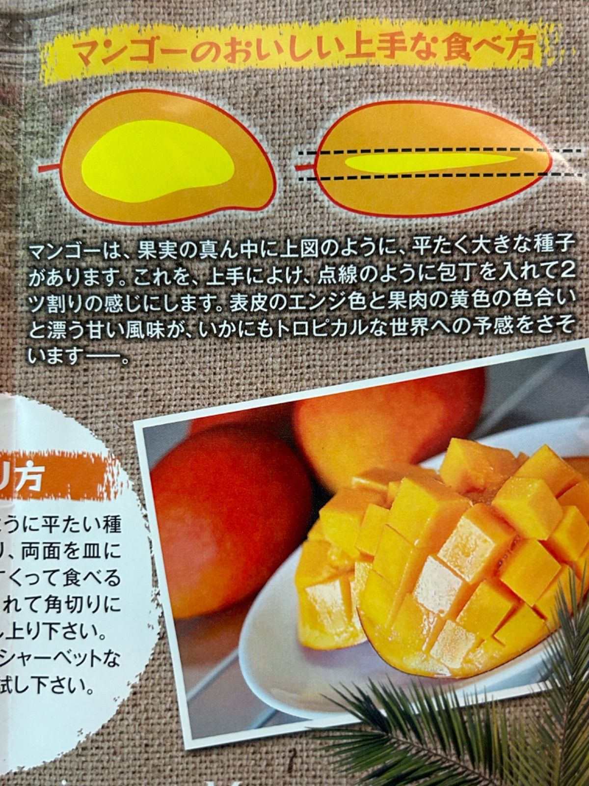 3L 2玉