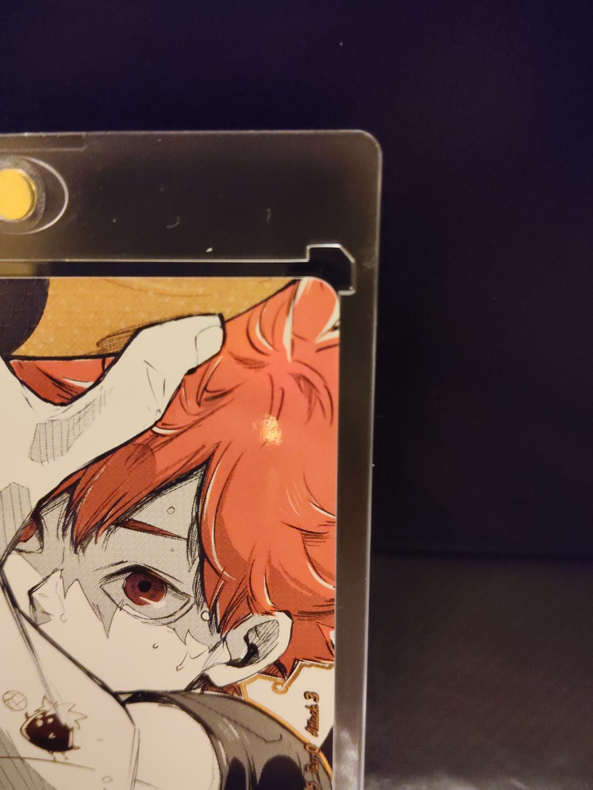 【HV-P01-004】日向翔陽 / ハイキュー / 極P / 古館春一 HV-P01-004】日向翔陽 / ハイキュー バボカ ブレイク / 極P / 古館春一