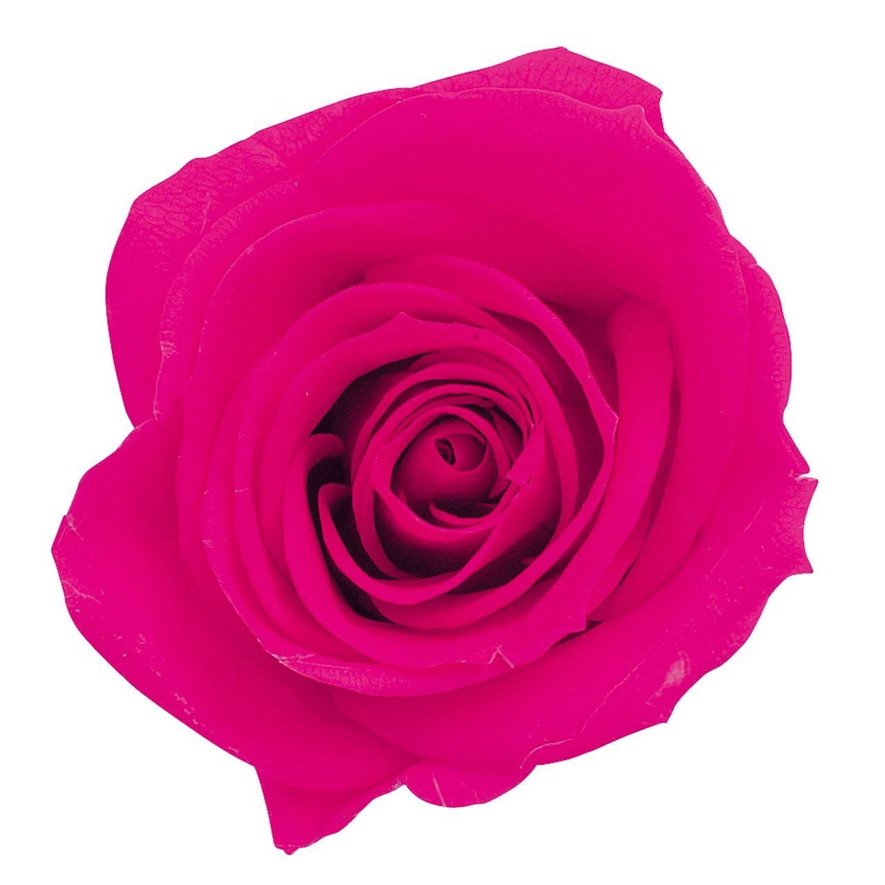 超希少【劇場使用版B2ポスター】夏至 トラン・アン・ユン監督