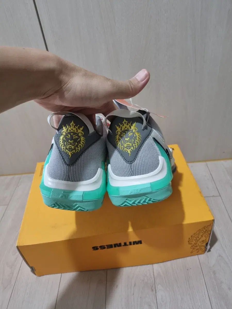 フィットネス バスケットシューズ