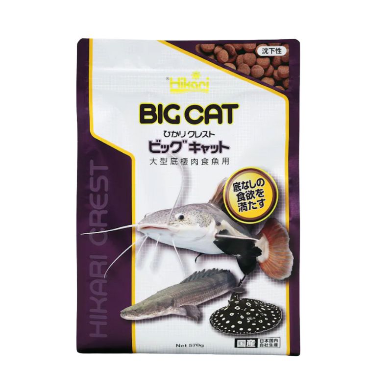キョーリン ひかりクレスト ビッグキャット ５７０ｇ×12袋セット なまず 餌 大型なまず 沈下性 底棲魚 エサ 大容量 まとめ買い お徳用 大量買い 業務用