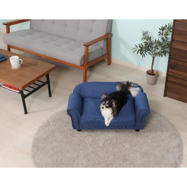 不二貿易 ペットソファ チェスターフィールド風 SF-430 BL ブルー 感 ペットベッド ペット家具 インテリア