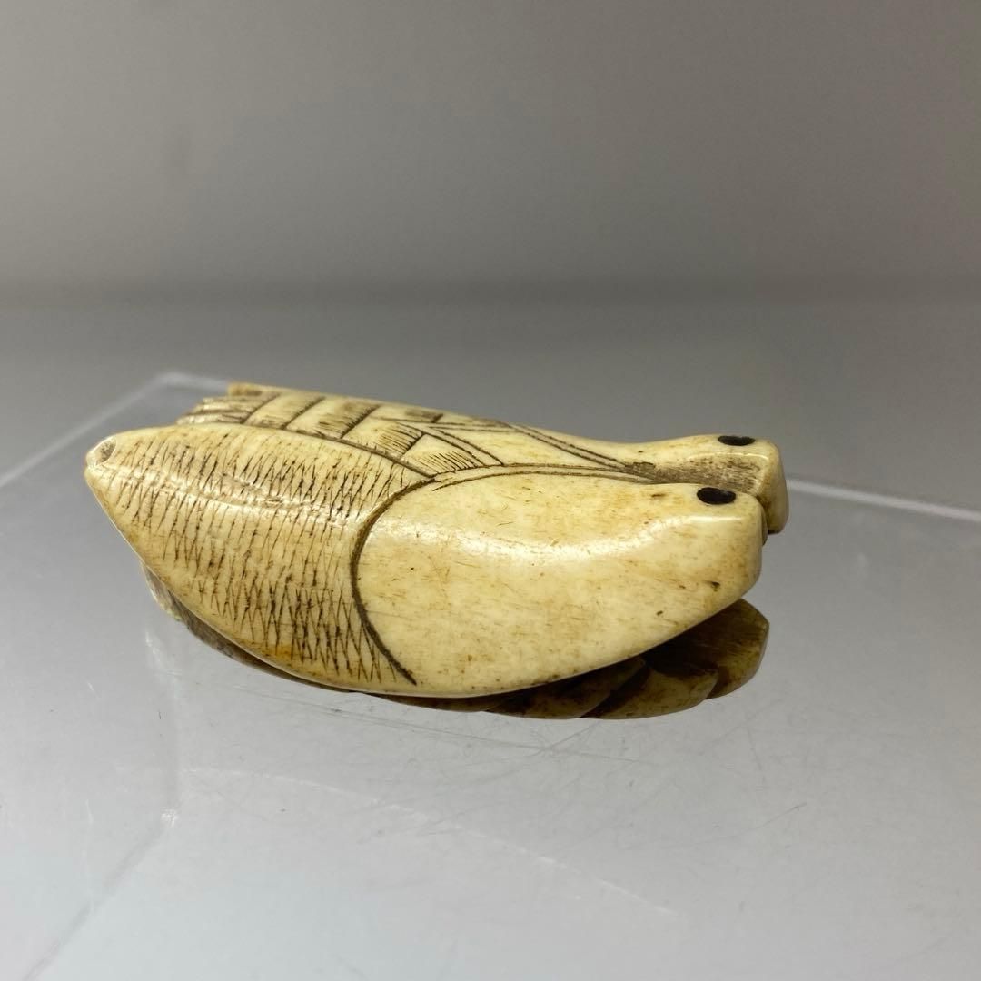 江戸時代　骨製根付　19g 東N7-0929☆2F 根付ギャラリー 江戸時代（その他）編