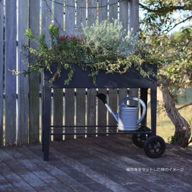 花 観葉植物用ポット ブラントトローリー BK STAND 1個入り 59301 ボックスタイプ パウダーコートスチール製 代引き不可 大型プランター FARM p221 STEELWINDOWSANDDOORS_COM