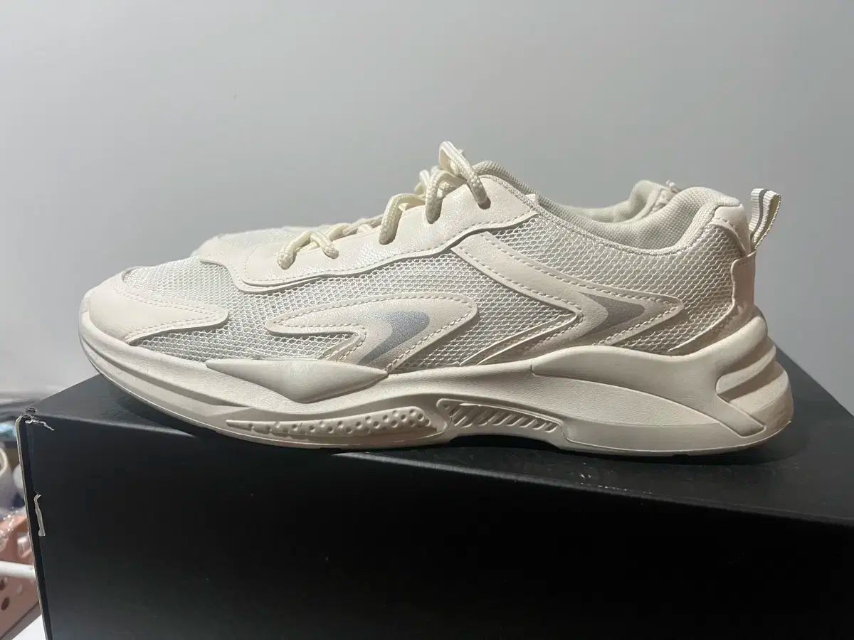 サンダータイガー FM-e 1/5 バイク