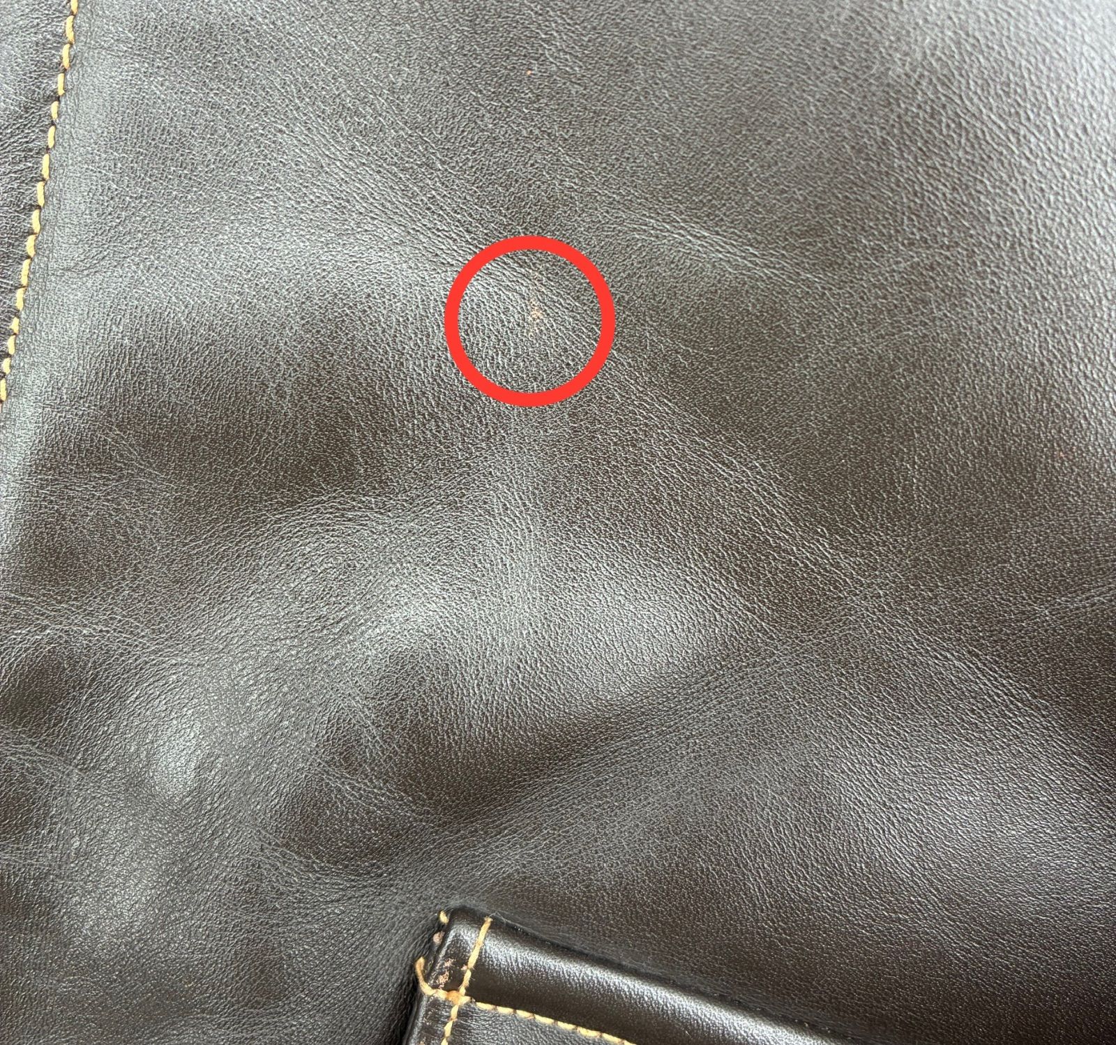 バズリクソンズ BEACON