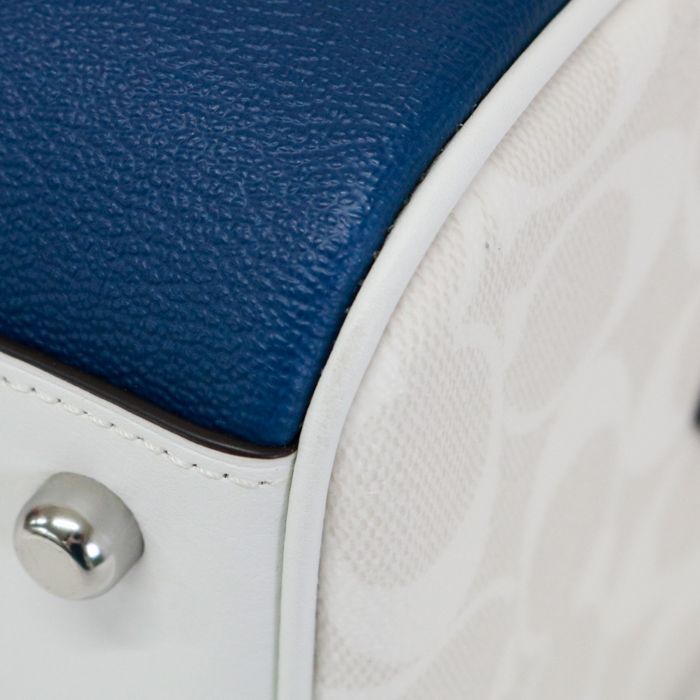 コーチ COACH ローワン サッチェル ロンプルイユ プリント PVC