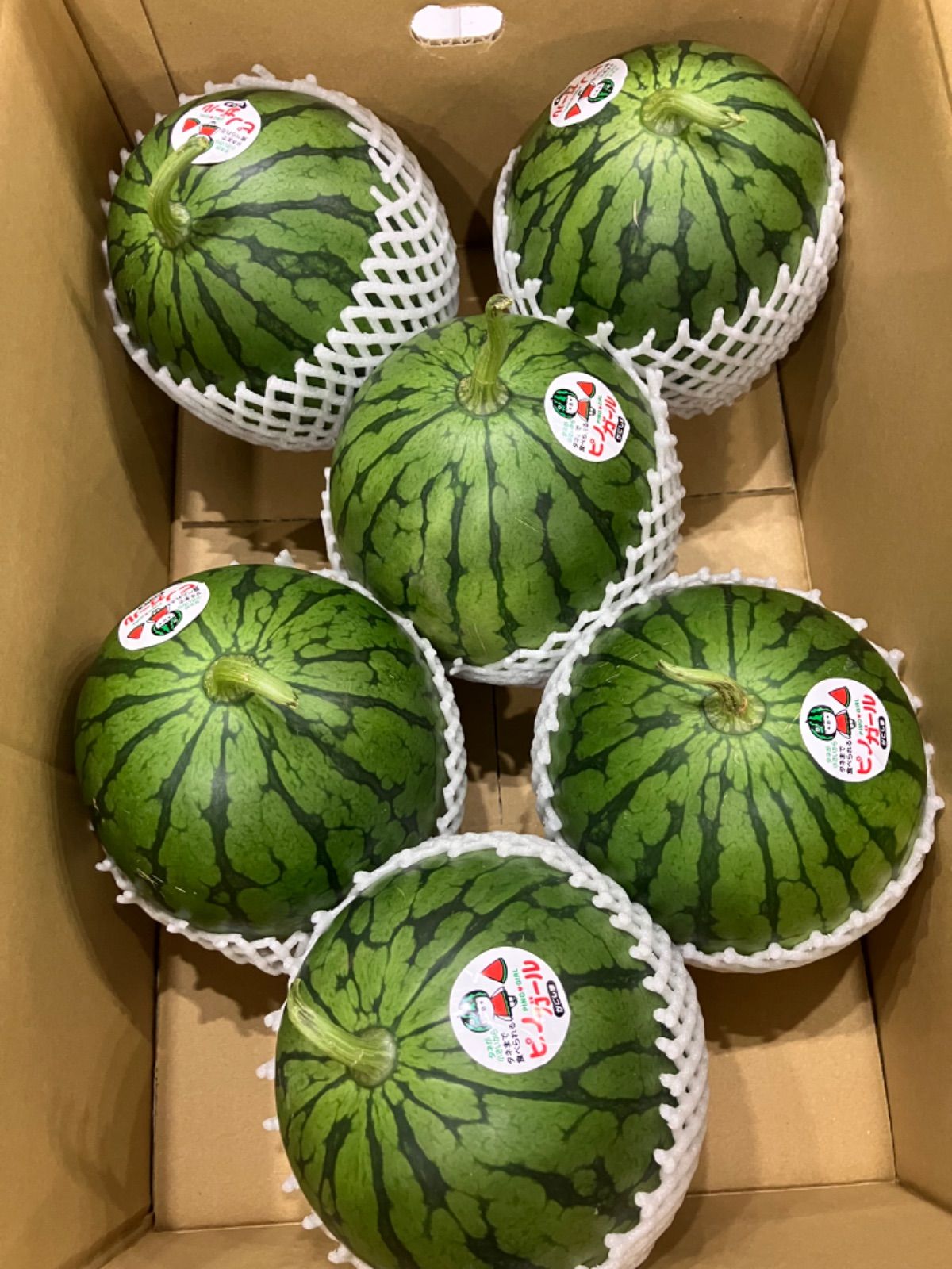 ６・鹿児島県・ますちゃん・ピノガール 鹿児島県産 スイカ ピノガール 6玉クラス 箱込10キロ b - メルカリ