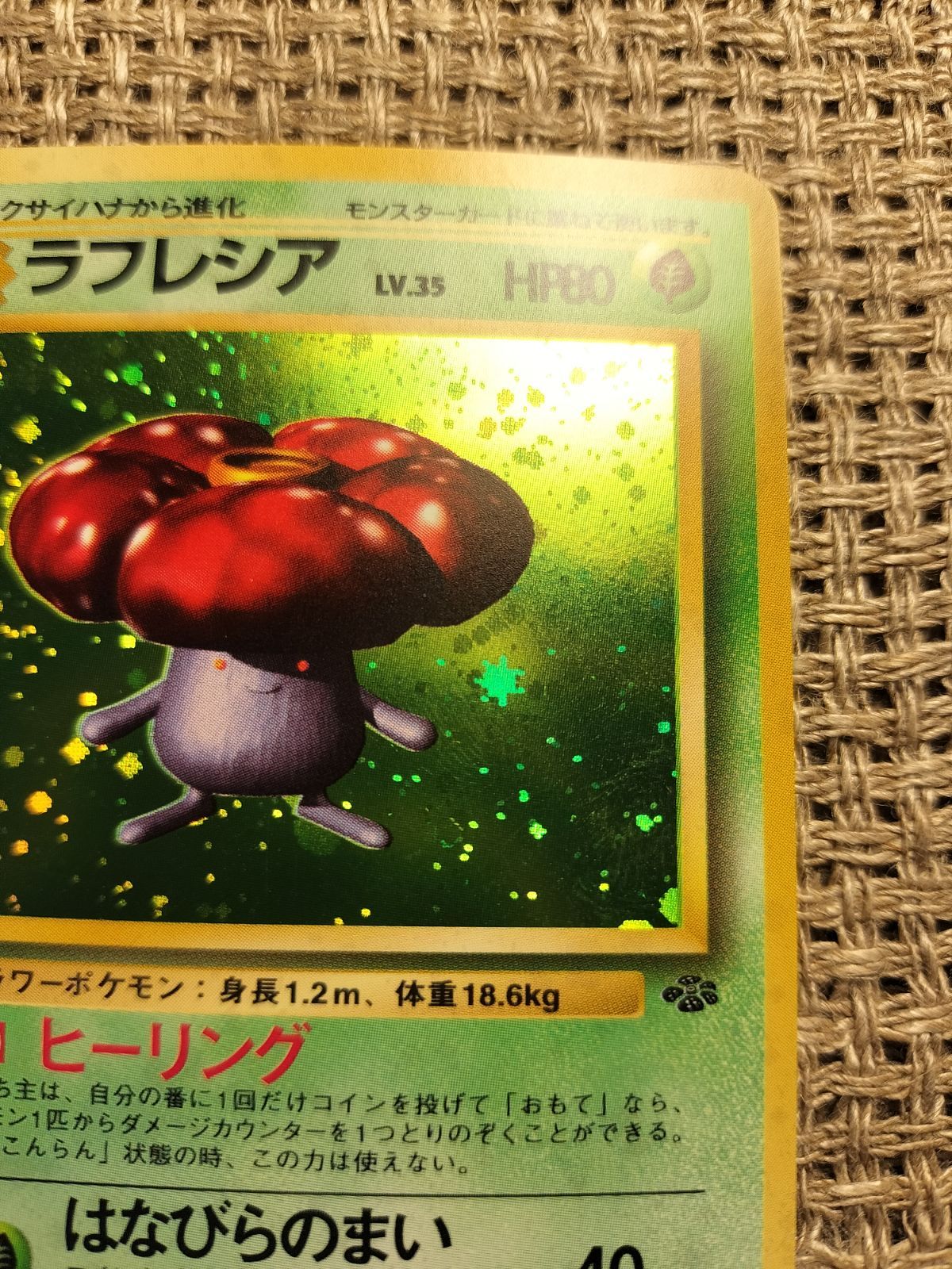 ラフレシア 旧裏　極上品 NO007_【極美品】ラフレシア_ポケモンカード_旧裏 - メルカリ