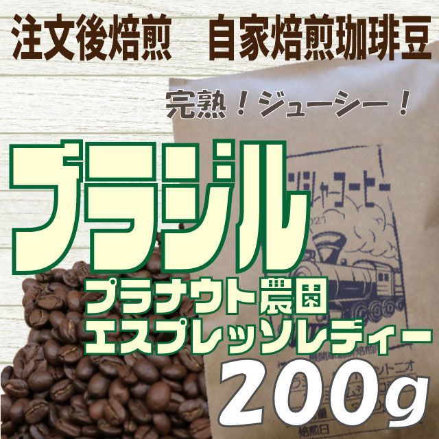 自家焙煎 コーヒー豆 ブラジル プラナウト農園 エスプレッソレディー 200g