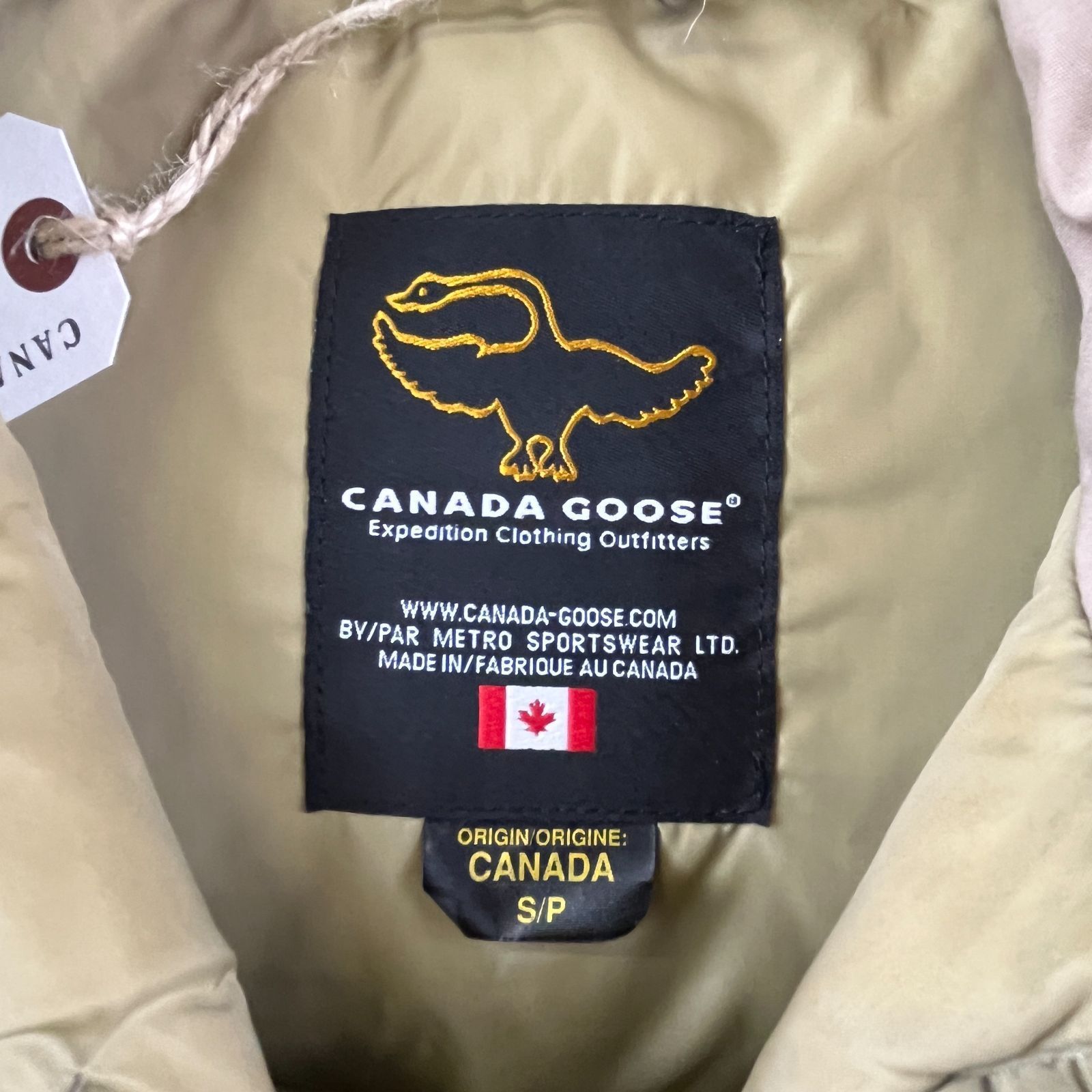 タマタマ 旧裏 1997年 PSA10 GEM MT