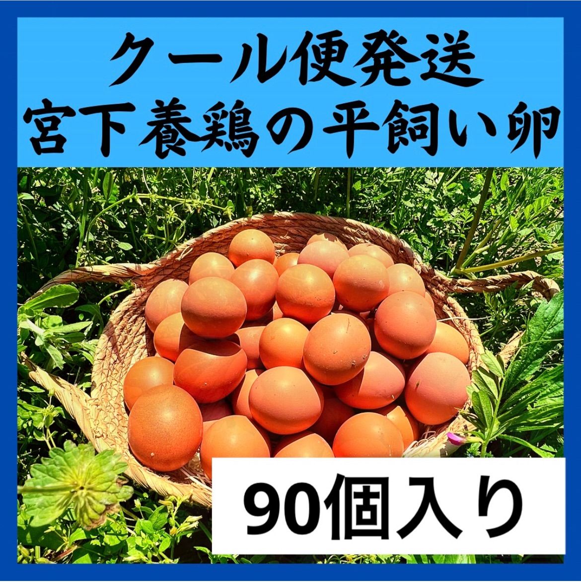 90個入佐伯養鶏の平飼い卵