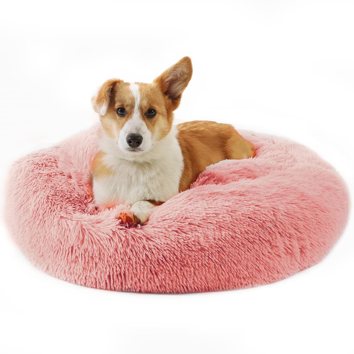 遠藤照明 店舗向け LEDZ ERS4796BB 割引 3灯セット（2019年製）