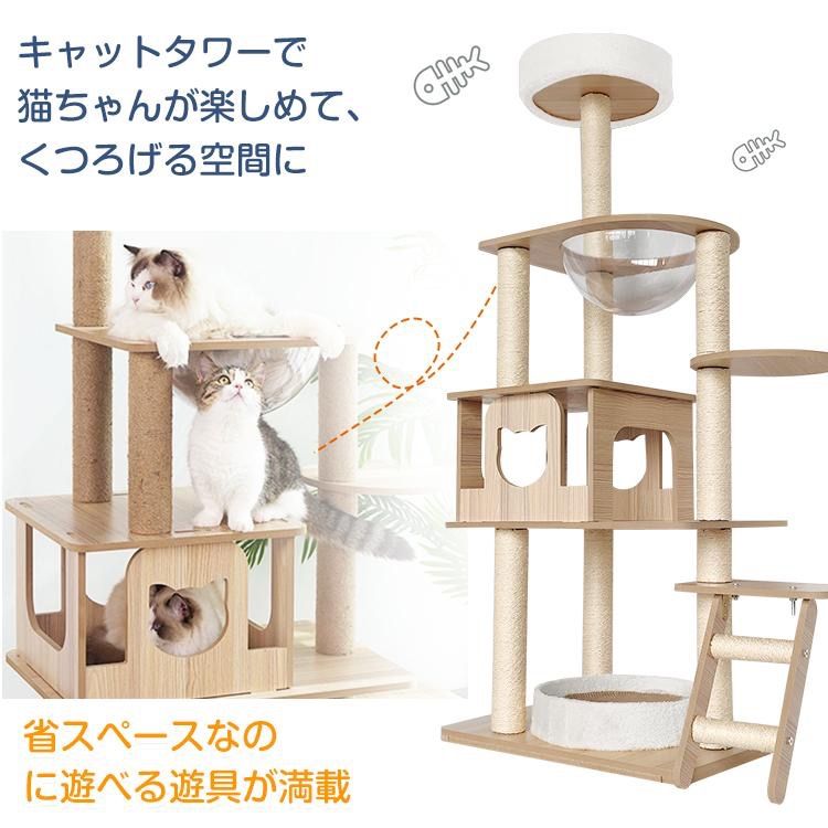 ネコ