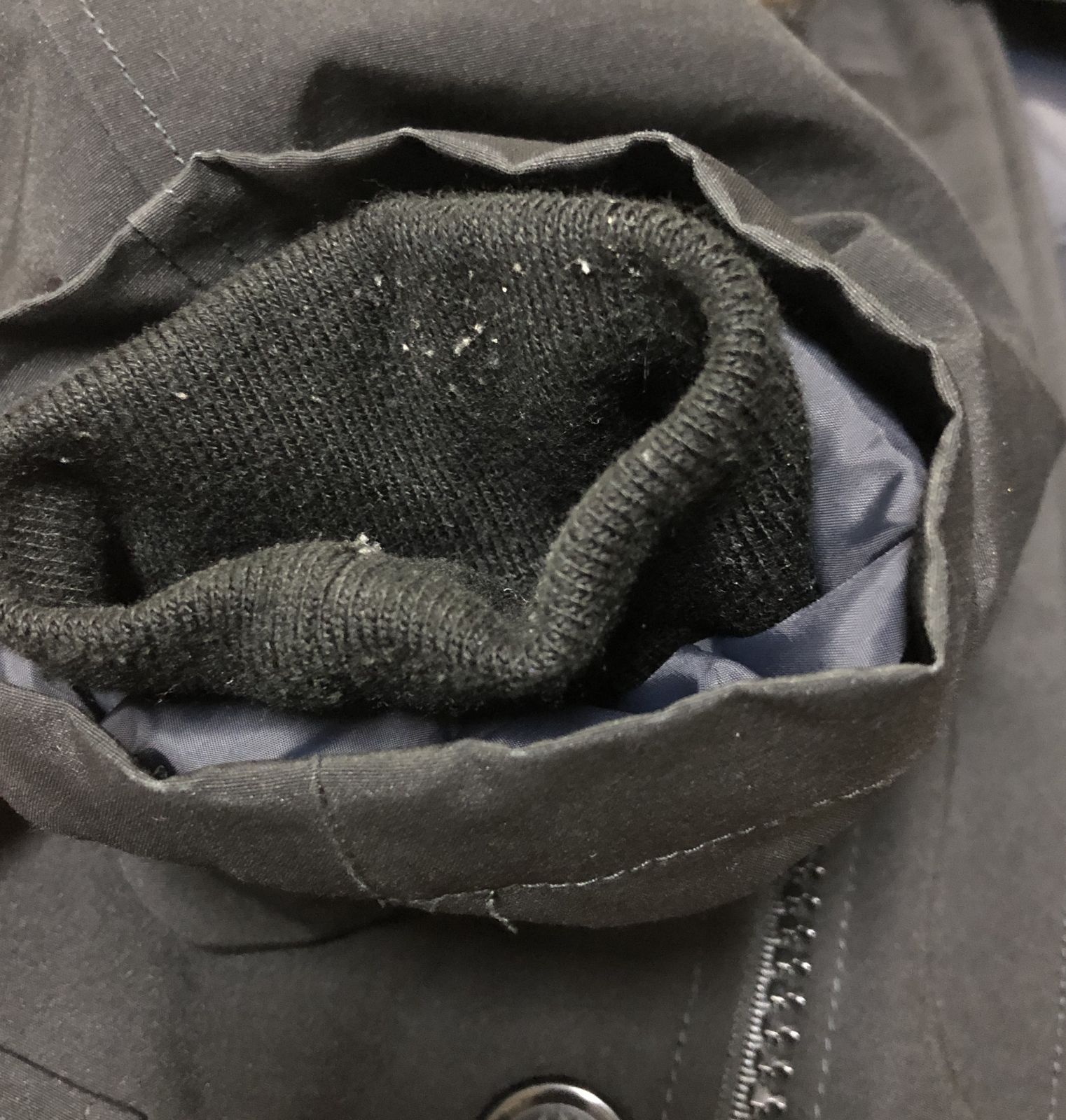 フード サイズ38