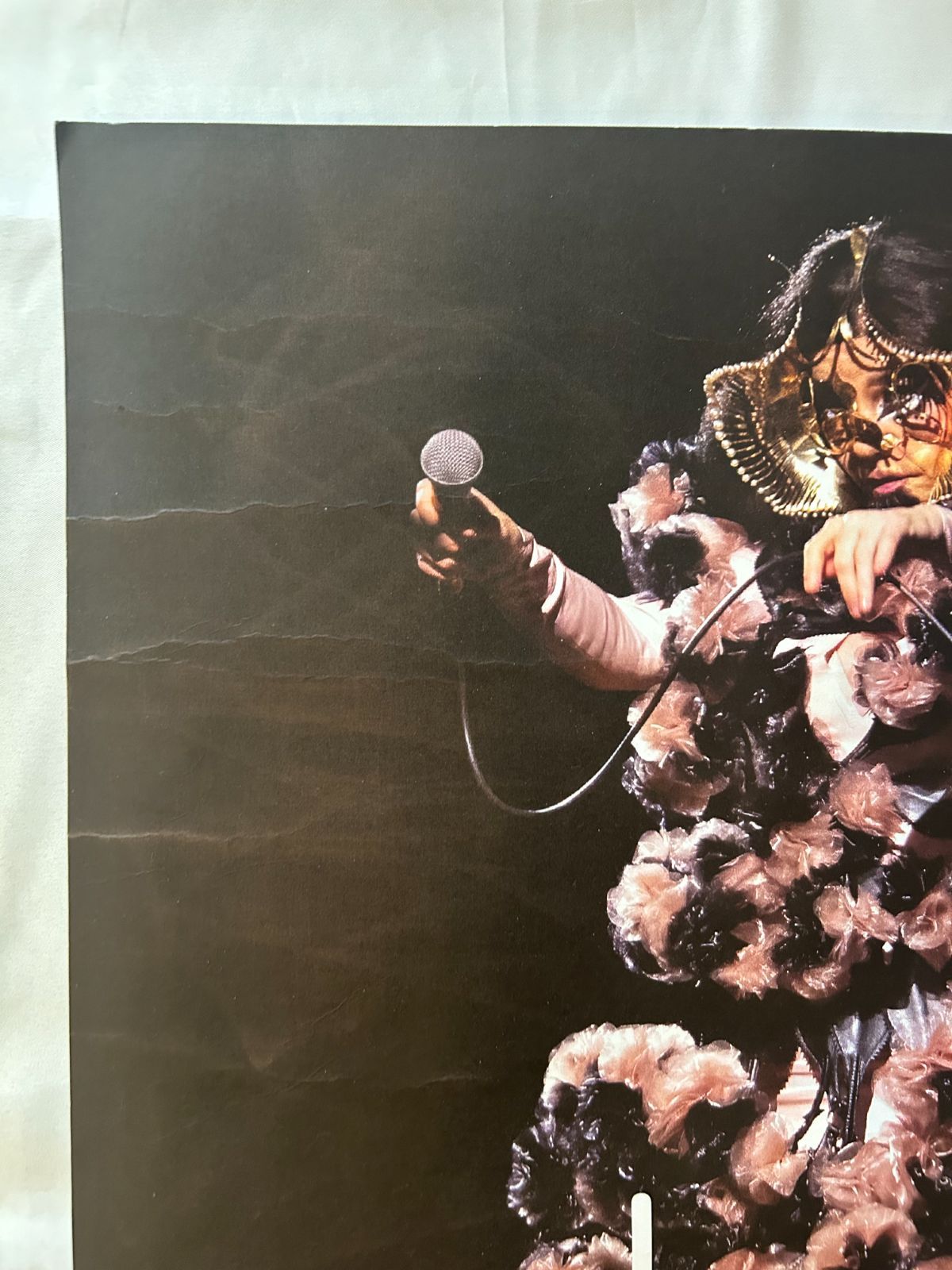 Bjork ビョーク / orchestral Tour 2024 オリジナル・ギグポスター