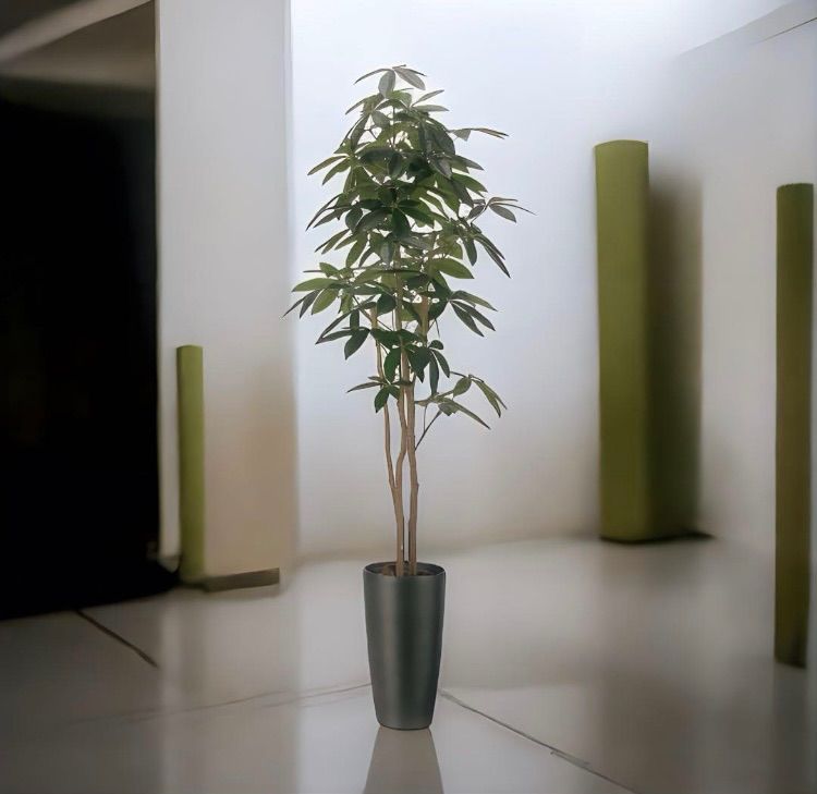 光触媒　人工観葉植物　ウォールグリーン　フェイクグリーン　スリムパキラ1.8 光触媒 光の楽園 スリムパキラ1.8m【インテリア フェイク