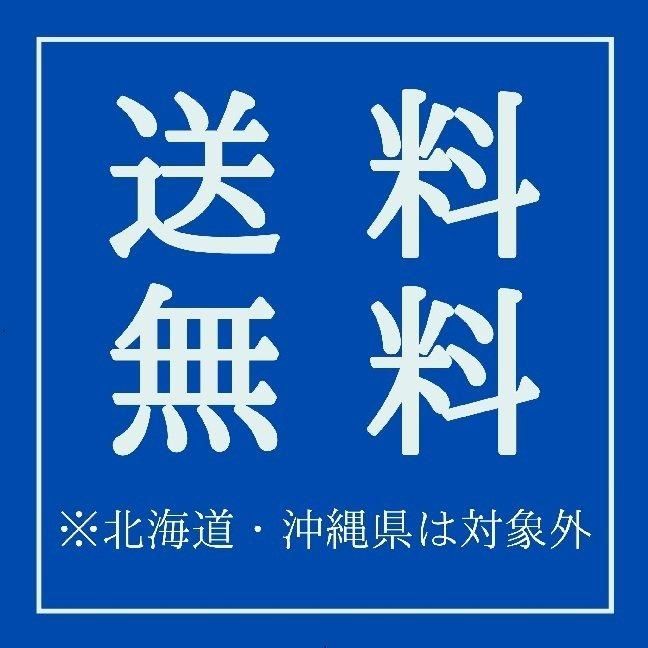 限定 マグナムボトル 3000ml ファルネーゼ エディツィオーネ チンクエ