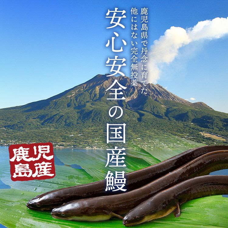 蒲焼き