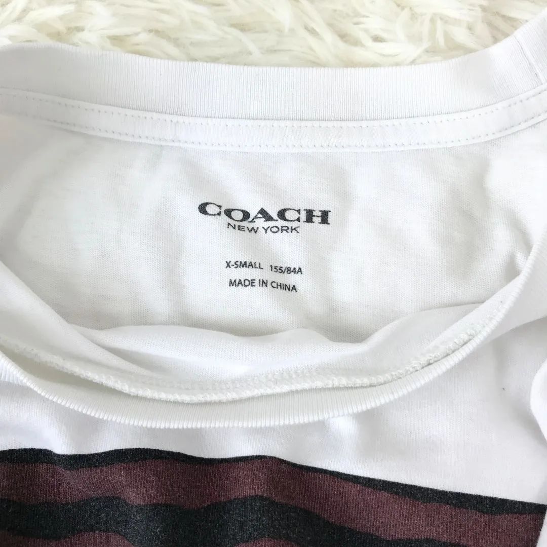 COACH　コーチ　Ｔシャツ　カットソー　半袖　XSサイズ　トラ模様