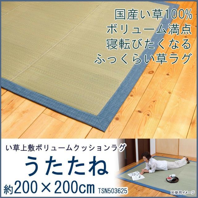 い草上敷ボリュームクッションラグ うたたね 約200×200cm TSN503625