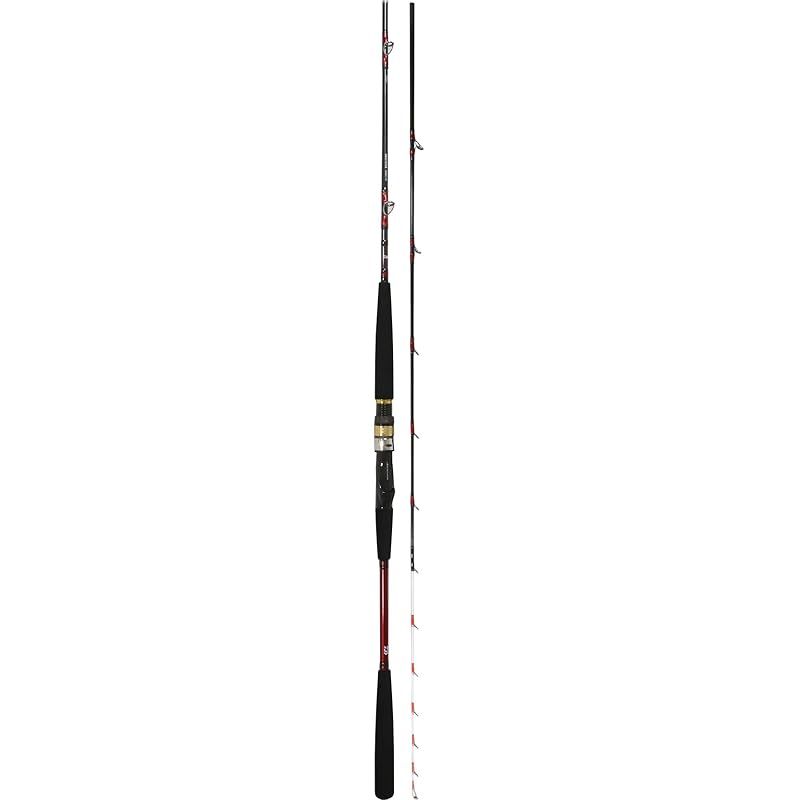 ダイワ(DAIWA) 船竿 アナリスターアマダイ 195 釣り竿 1