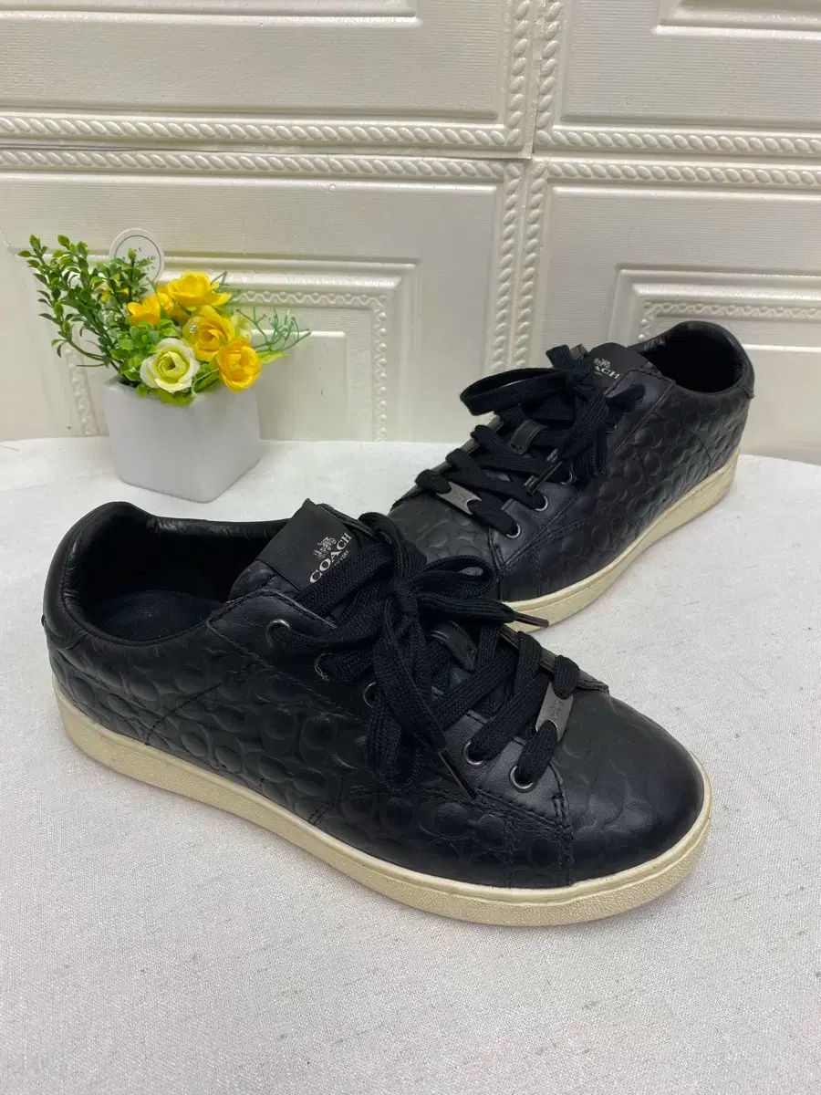 COACH コーチ 署名 スニーカーズ
