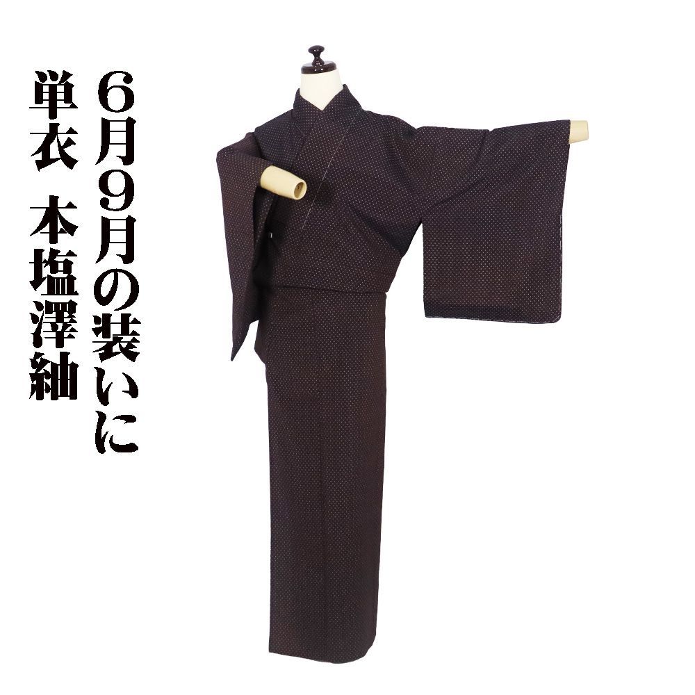酒井織物謹製 単衣 本塩澤紬 正絹 濃茶紫 蚊絣 Sサイズ ki30794 夏着物 レディース ギフト 20代30代40代50代60代 み
