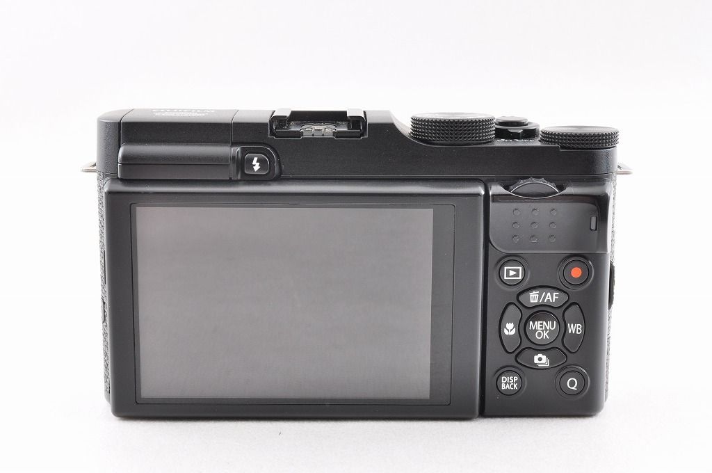 APS-C ミラーレスデジタルカメラ