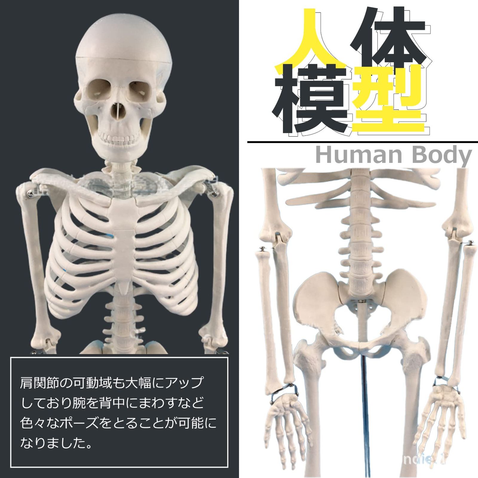 台座付き