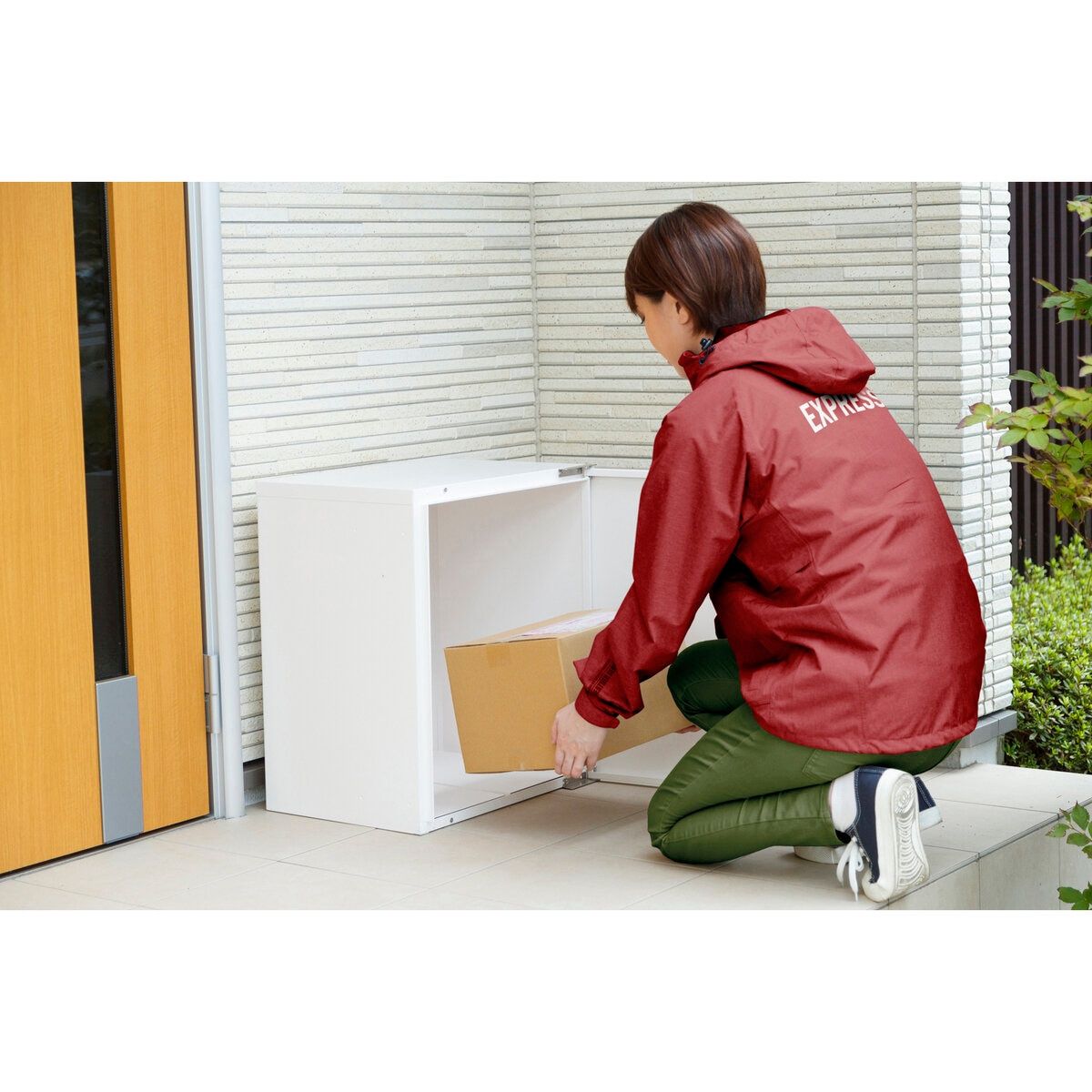 TBK-L ct36878