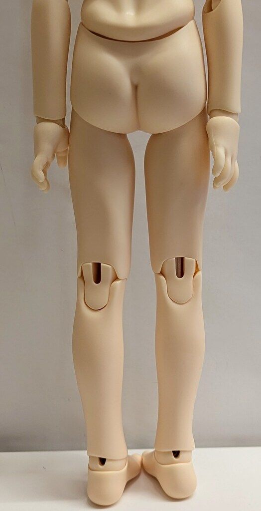 コーディネートモデル F-61