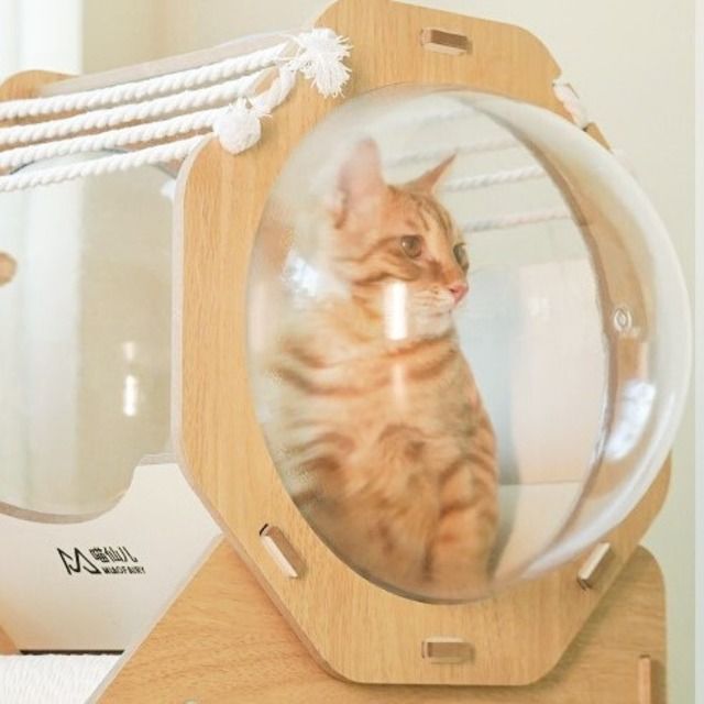 ペットハウス 猫ハウス