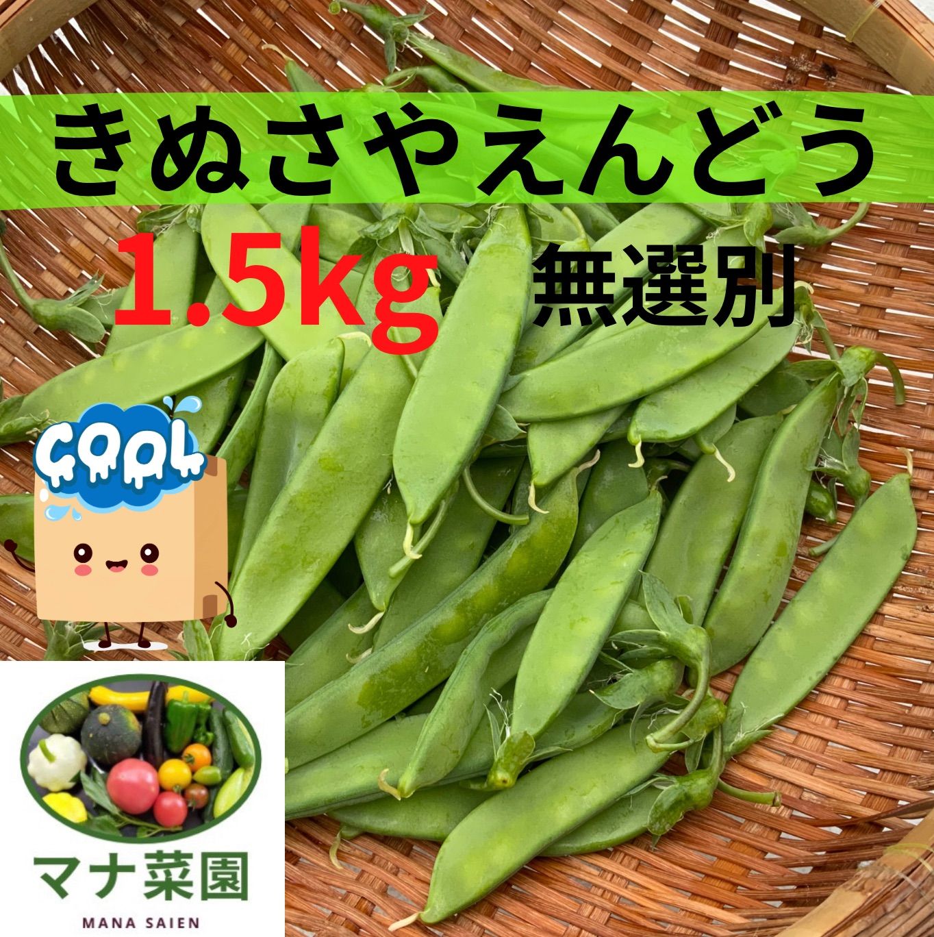 スナップエンドウ 500g 農薬・化学肥料不使用 徳島県産 （阿波