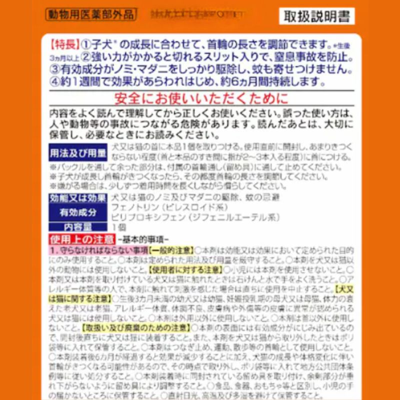 仔犬 多頭飼い