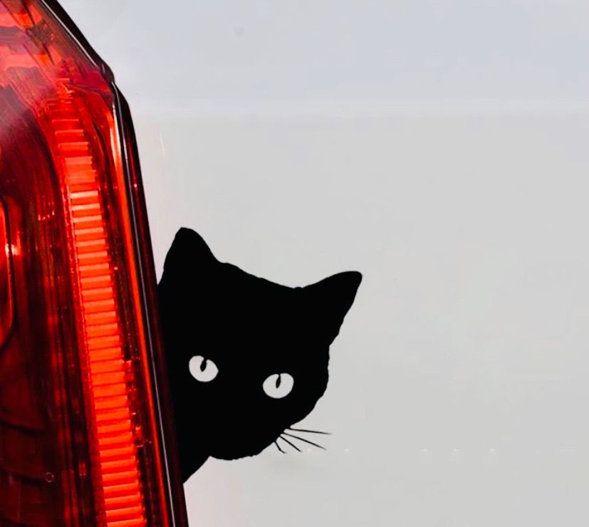ねこステッカー ねこドライブ ステッカー枠サイズ：１２ｃｍ×３８ｃｍ猫グッズ 猫雑貨 ネコ雑貨 ねこ雑貨かわいい ねこシール ねこステッカー 車用  ステッカー 車 パーツ