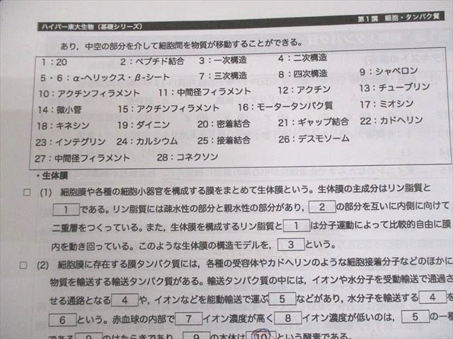 河合塾 東京大学 ハイパー東大生物(演習編) テキスト通年セット/テスト