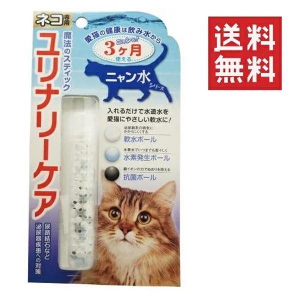 キッチン・食器 ☆ ピュイフォルカ ディナーナイフ「シャンタコ」ESP