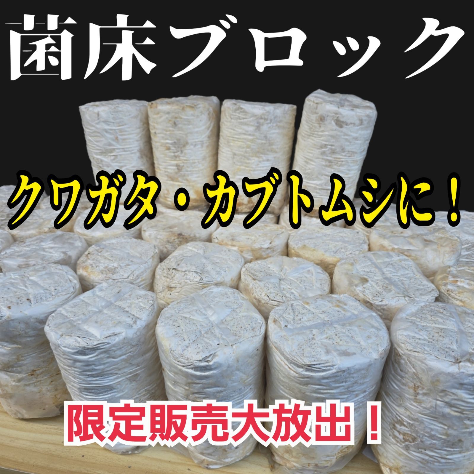 昆虫用品 カブトムシ幼虫の栄養強化に！マットに埋めるだけ