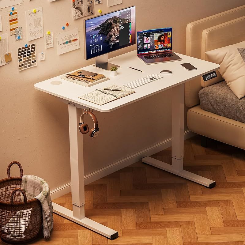 Alebert 昇降デスク 昇降式デスク 電動 幅100*奥行60cm スタンディング