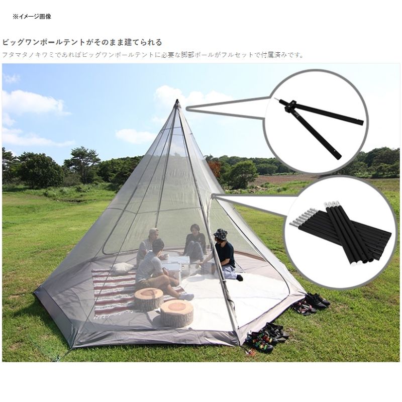 フタマタノキワミ