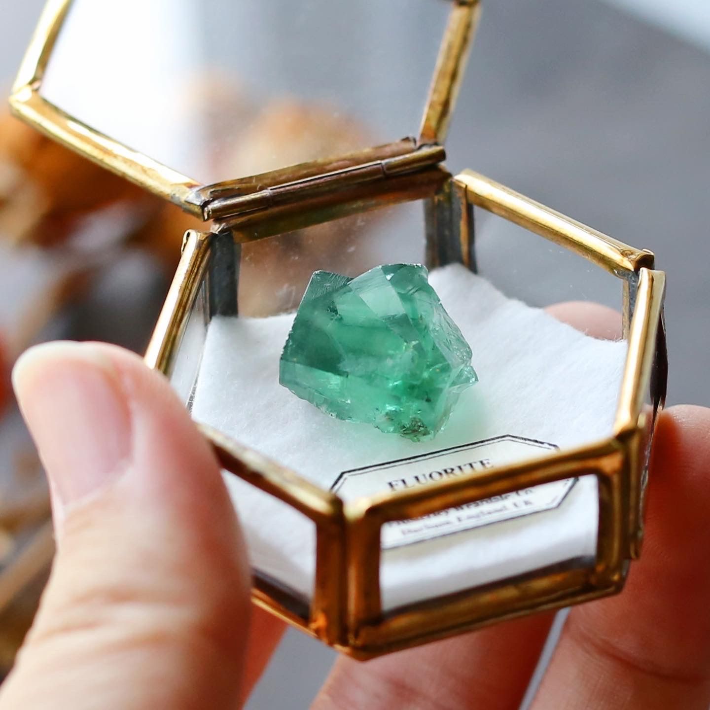 Diana Maria鉱山　フローライト　fluorite 鉱物　鉱物標本　原石 Diana Maria鉱山 フローライト（蛍石） | 鉱物標本,ハ行,フロー