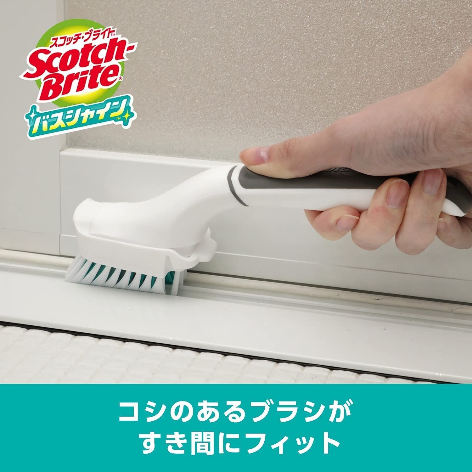 バスシャイン