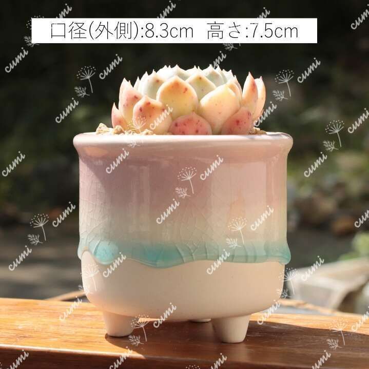 韓国 3号 【2個セット】雫シリーズ P かわいい 窯変 植木鉢 室内 陶器鉢 多肉 植物 鉢植え 激安 レア インテリア プレゼント 海外