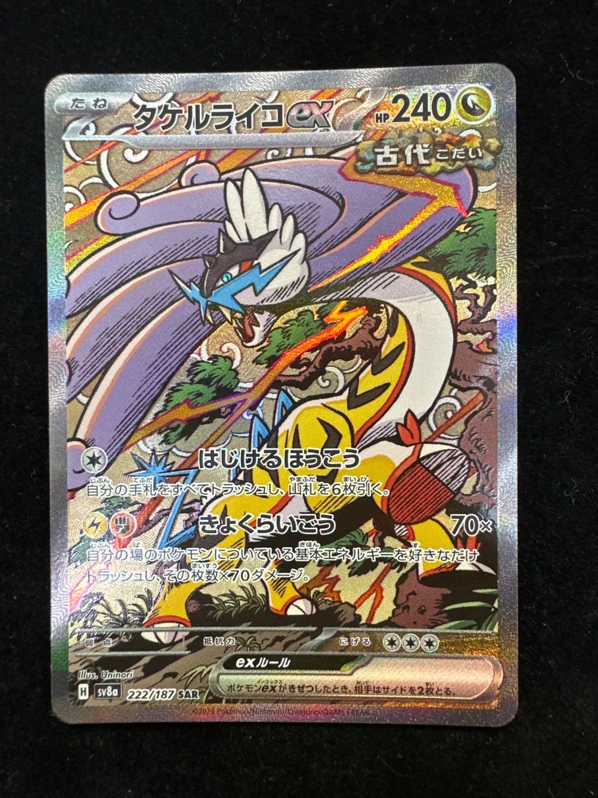 テラスタルフェスex タケルライコex SAR