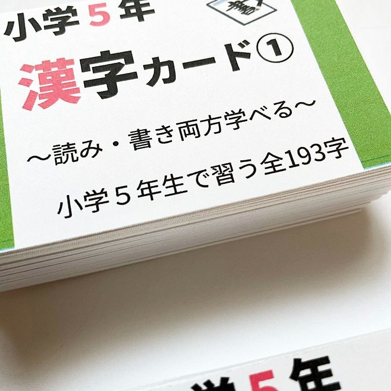 小学5年生 漢字カード 小5で習う漢字全193字 学習教材 漢検6級 国語