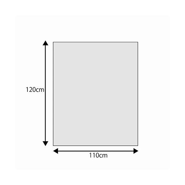 120L 006604870